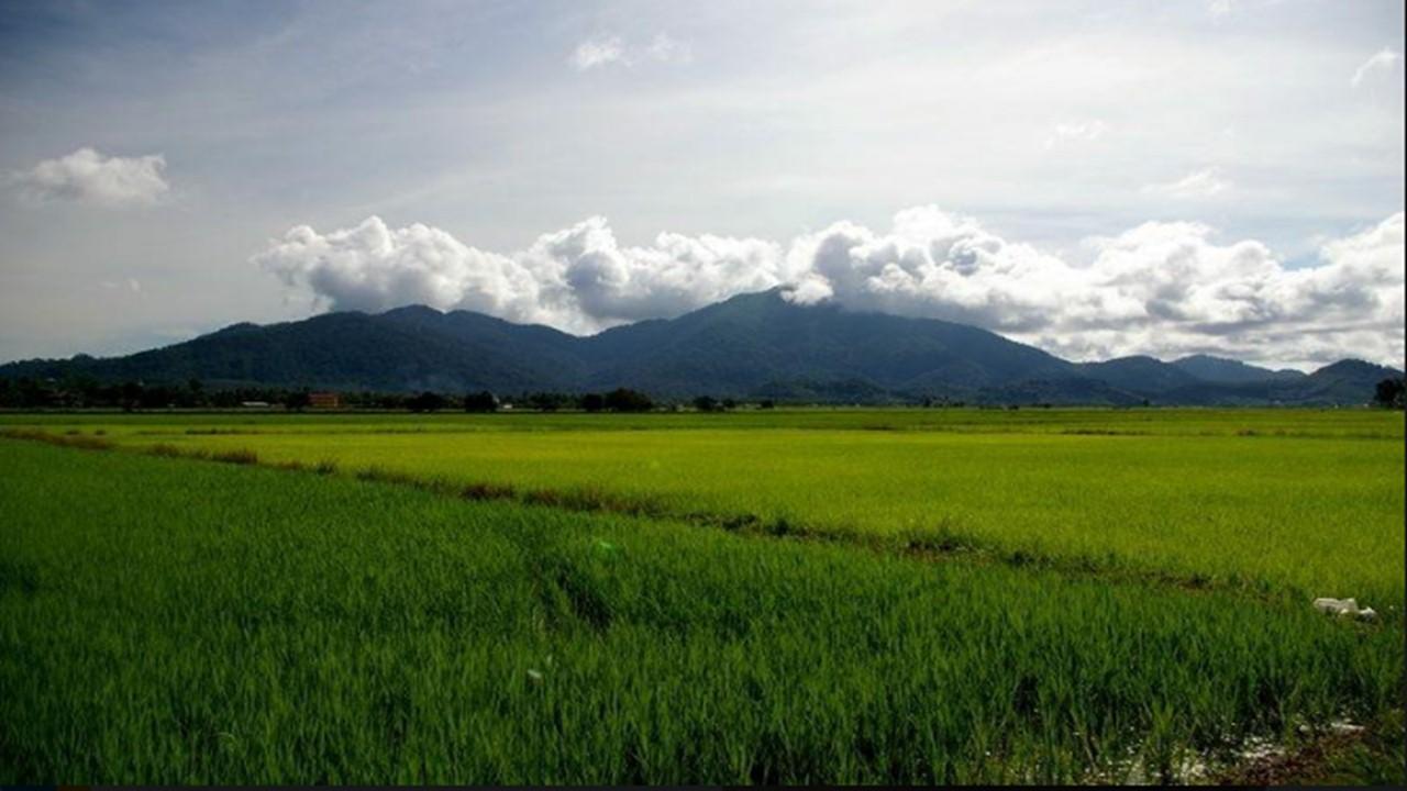 Barakah Homestay Alor Setar Ngoại thất bức ảnh